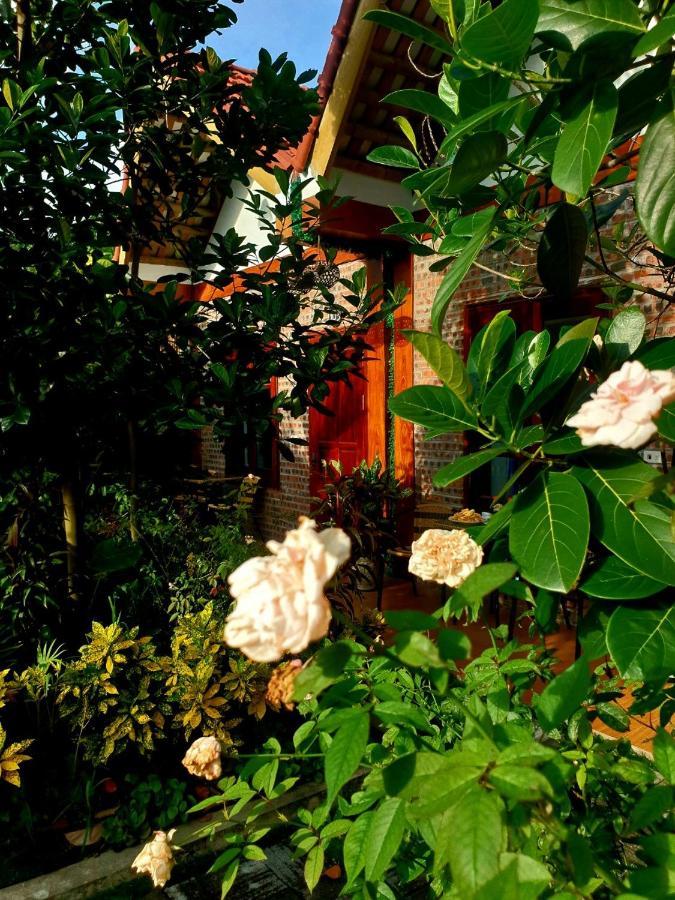Tamcoc Mr. Cau Homestay 宁平 外观 照片